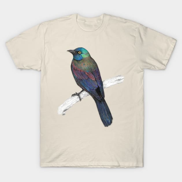 Grackle shirt best sale